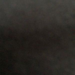 Meet your Posher, Noah